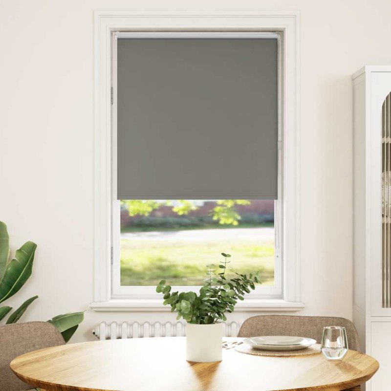 Estor Enrollable Opaco gris 65x150 cm Tela Ancho 60,7 cm VX-4011121
